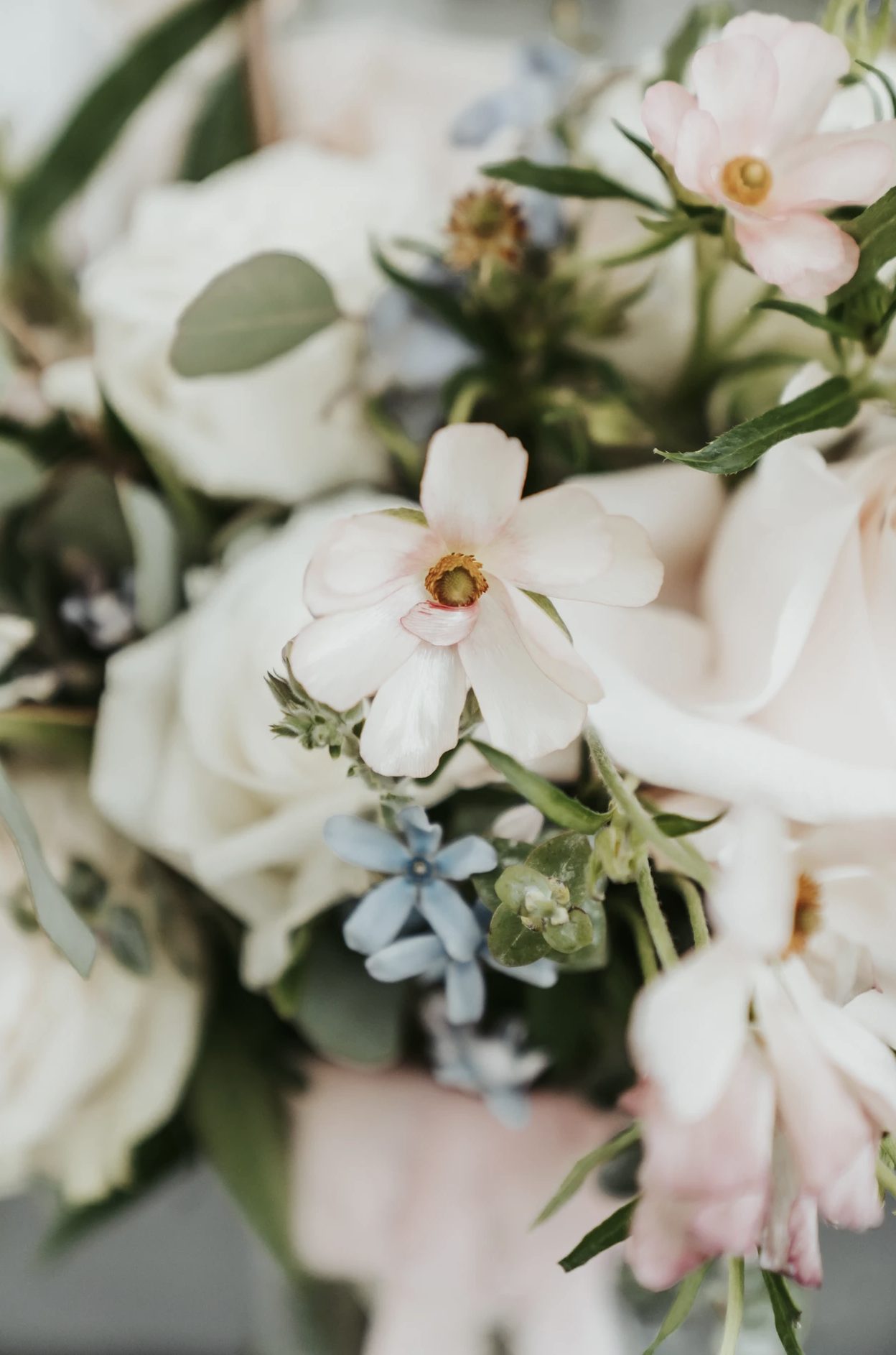 homepage-24